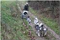 Tour Taunus 238
